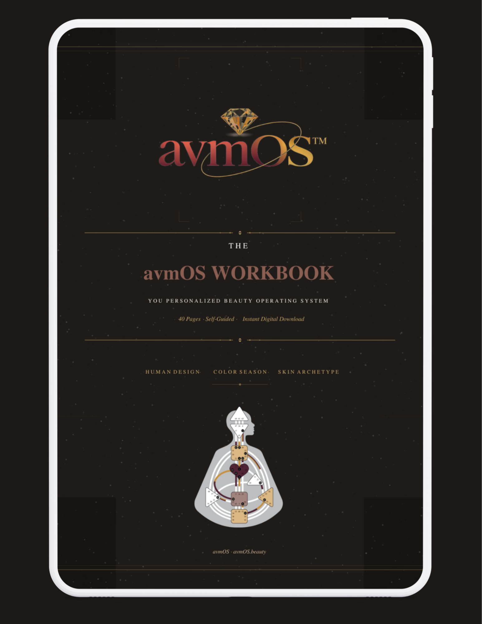 avmOS Workbook Mockup